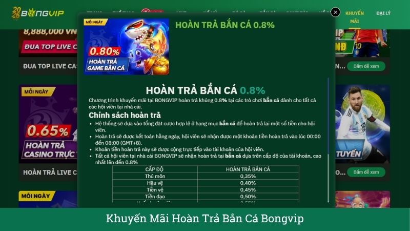 Khuyến Mãi Hoàn Trả Bắn Cá Bongvip – Nhận Siêu Trợ Cấp Lên Đến 0.8% Mỗi Ngày