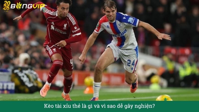Kèo tài xỉu thẻ – Cẩm Nang Soi Kèo Chuẩn Xác 2026 BONGVIP