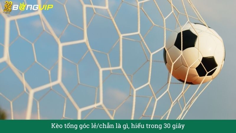 Giải mã Kèo tổng góc lẻ/chẵn – Cẩm Nang Soi Kèo Chuẩn Xác 2026 BONGVIP