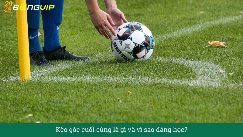 Giải mã Kèo góc cuối cùng – Cẩm Nang Soi Kèo Chuẩn Xác 2026 BONGVIP