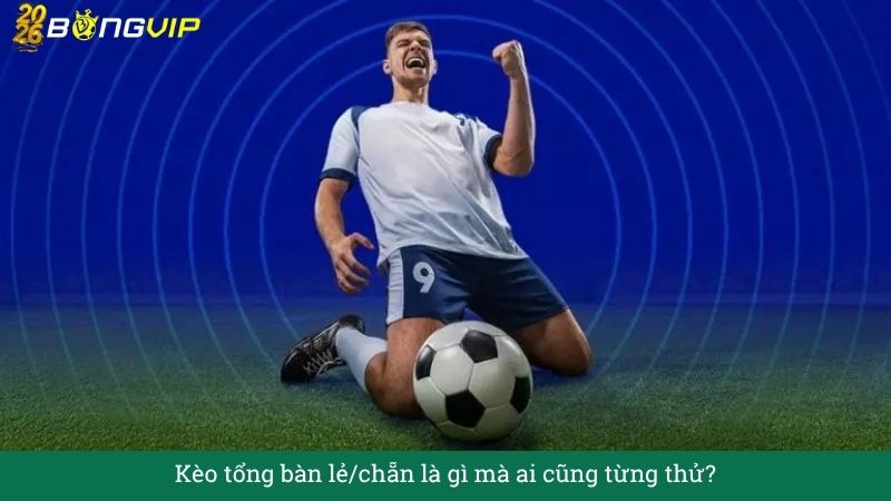 Kèo tổng bàn lẻ/chẵn – Cẩm Nang Soi Kèo Chuẩn Xác 2026 BONGVIP