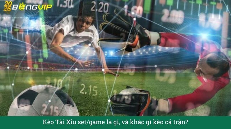 Giải mã Kèo Tài Xỉu set/game – Cẩm Nang Soi Kèo Chuẩn Xác 2026 BONGVIP