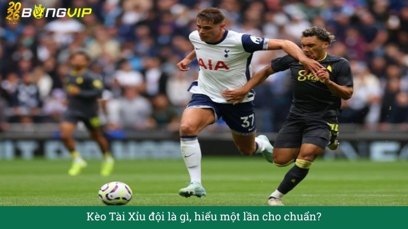 Giải mã Kèo Tài Xỉu đội – Cẩm Nang Soi Kèo Chuẩn Xác 2026 BONGVIP