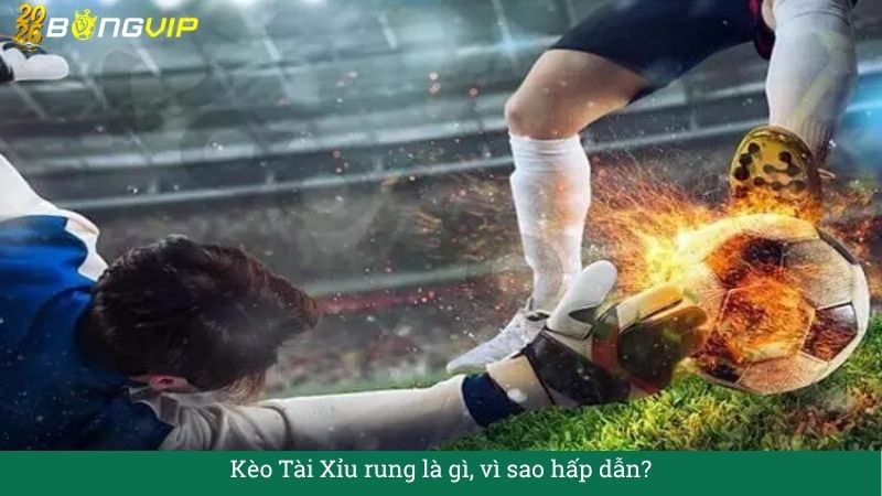 Kèo Tài Xỉu rung – Cẩm Nang Soi Kèo Chuẩn Xác 2026 BONGVIP