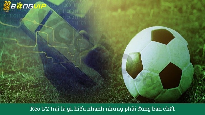 Kèo 1/2 trái – Cẩm Nang Soi Kèo Chuẩn Xác 2026 BONGVIP