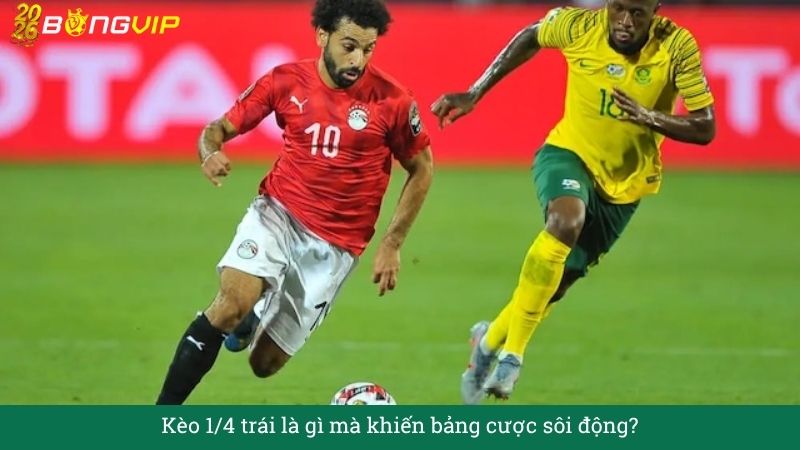 Kèo 1/4 trái – Cẩm Nang Soi Kèo Chuẩn Xác 2026 BONGVIP