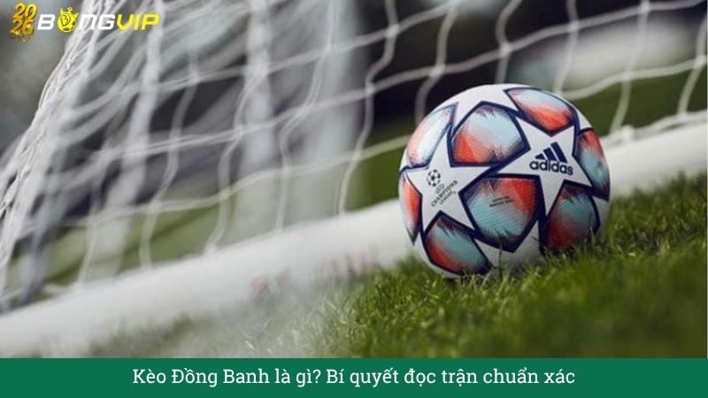 Kèo Đồng Banh là gì? Bí quyết đọc trận chuẩn xác – Cẩm Nang Soi Kèo Chuẩn Xác 2026 BONGVIP